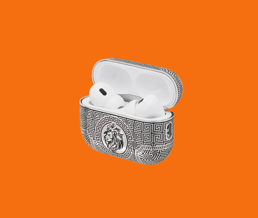 Pro Earbuds Case